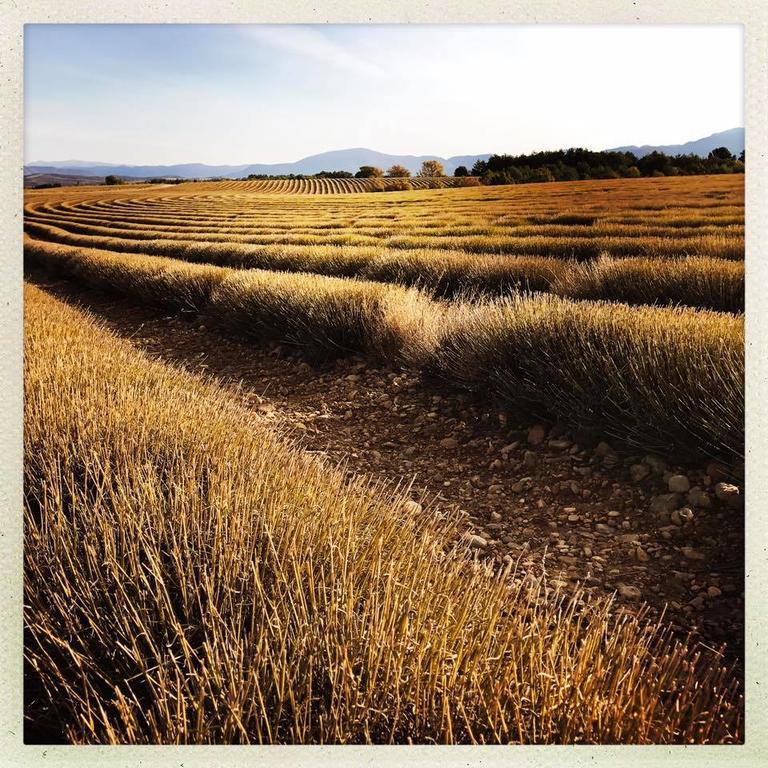 La Campagne De Petre Entrevennes Exterior photo